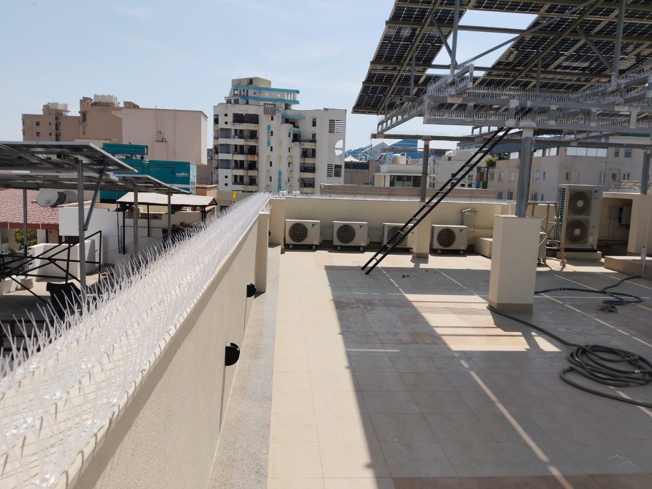 Bird Spikes in jaipur